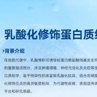 乳酸化修饰蛋白组