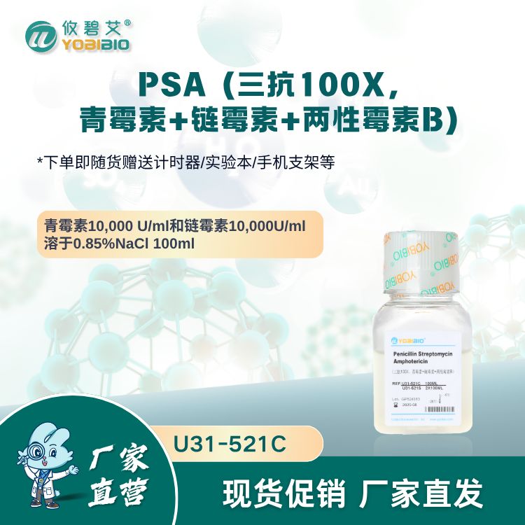 Penicillin Streptomycin Amphotericin（三抗100X，青霉素+链霉素+两性霉素B）
