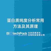 蛋白质纯度分析常用方法及其原理