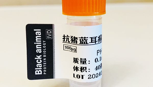 猪蓝耳病毒（PRRSV）单克隆抗体的制备以及免疫原性