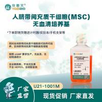 人脐带间充质干细胞(MSC)无血清培养基