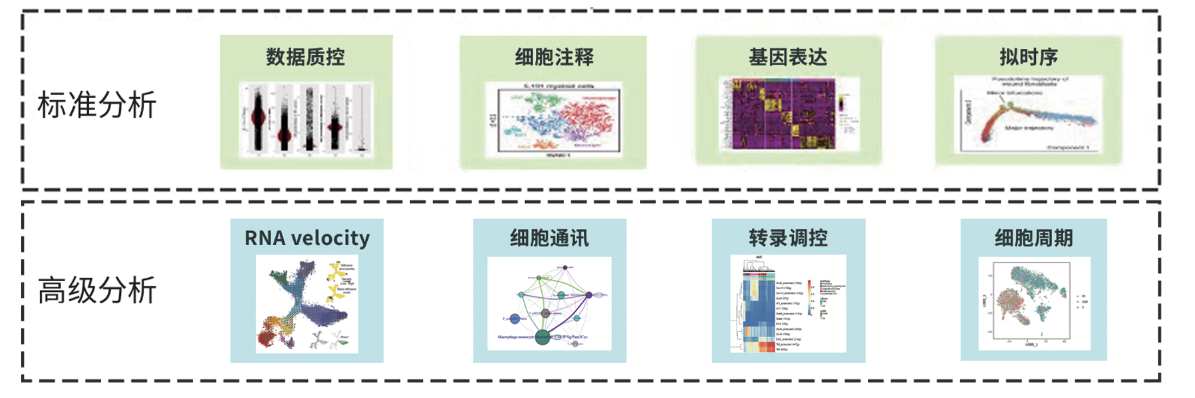 产品细节图片2