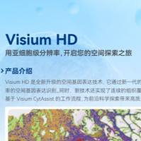 10X HD空间转录组