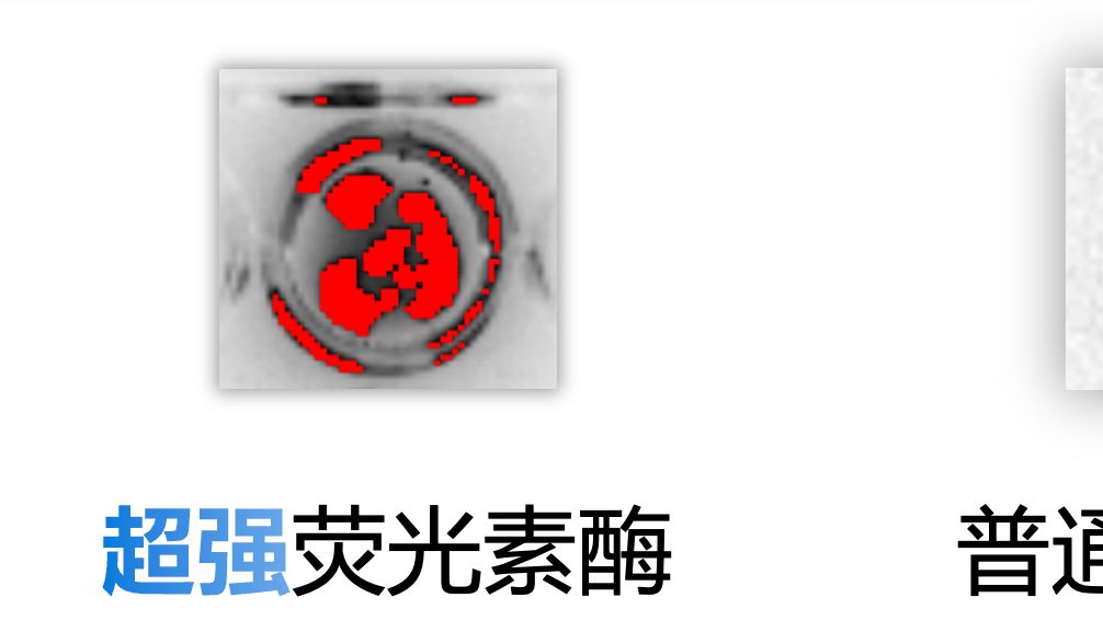 「DIFF Fab」食品安全｜超强荧光素酶报告基因检测系统