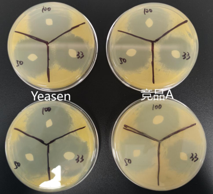 类器官&amp;原代细胞专属抗生素，高效抗菌，告别污染困扰！