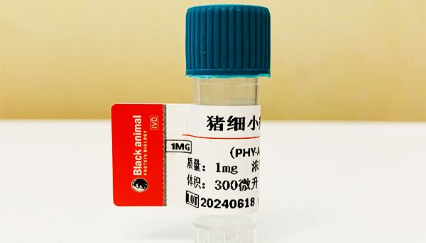 猪细小病毒重组VP2蛋白的研究和应用