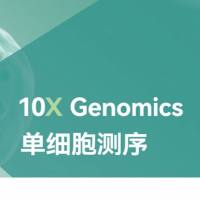 单细胞ATAC测序