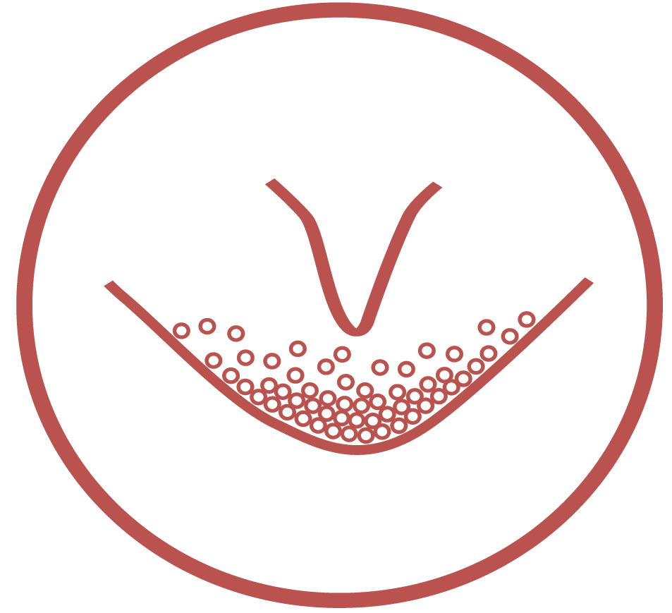 多巴胺能神经元