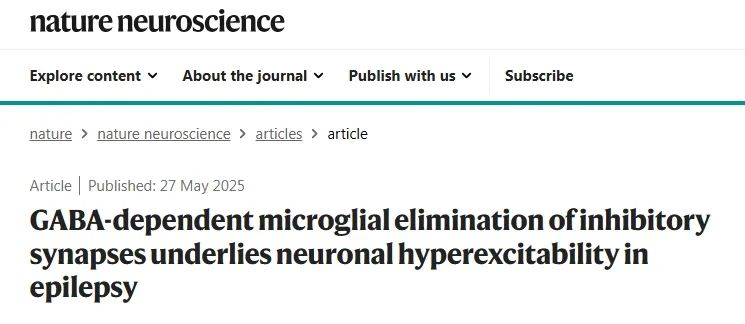 Nat Neurosci丨小胶质细胞在癫痫疾病中的神经调控机制