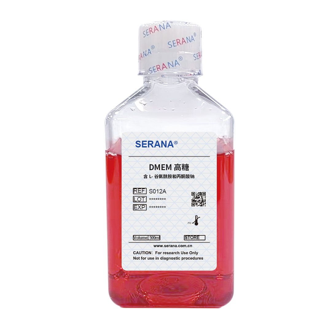 DMEM（高糖）培养基