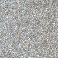 慢性髓性白血病细胞KBM-7