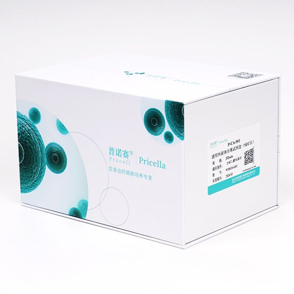 0.25%胰蛋白酶溶液（溶于PBS）