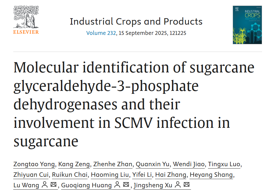 经典内参 GAPDH 的隐藏技能：甘蔗研究揭示其调控自噬平衡病毒侵染新机制