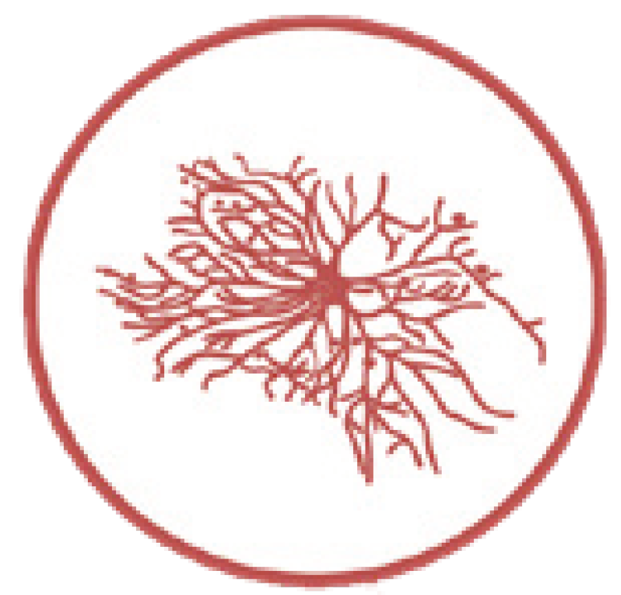 类器官培养难？如何助力神经细胞培养功能性实现？