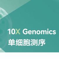 单细胞转录组 10X 3'