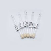 pcDNA3.1(+) CircRNA Mini Vector