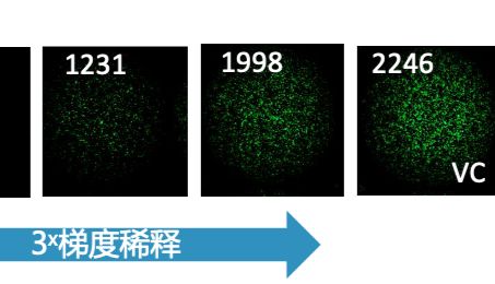 「DIFF+」RSV中和抗体检测｜24h即得精准结果的荧光斑点计数法
