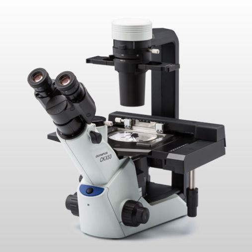 奥林巴斯生物显微镜 现货热销 | 维百奥生物