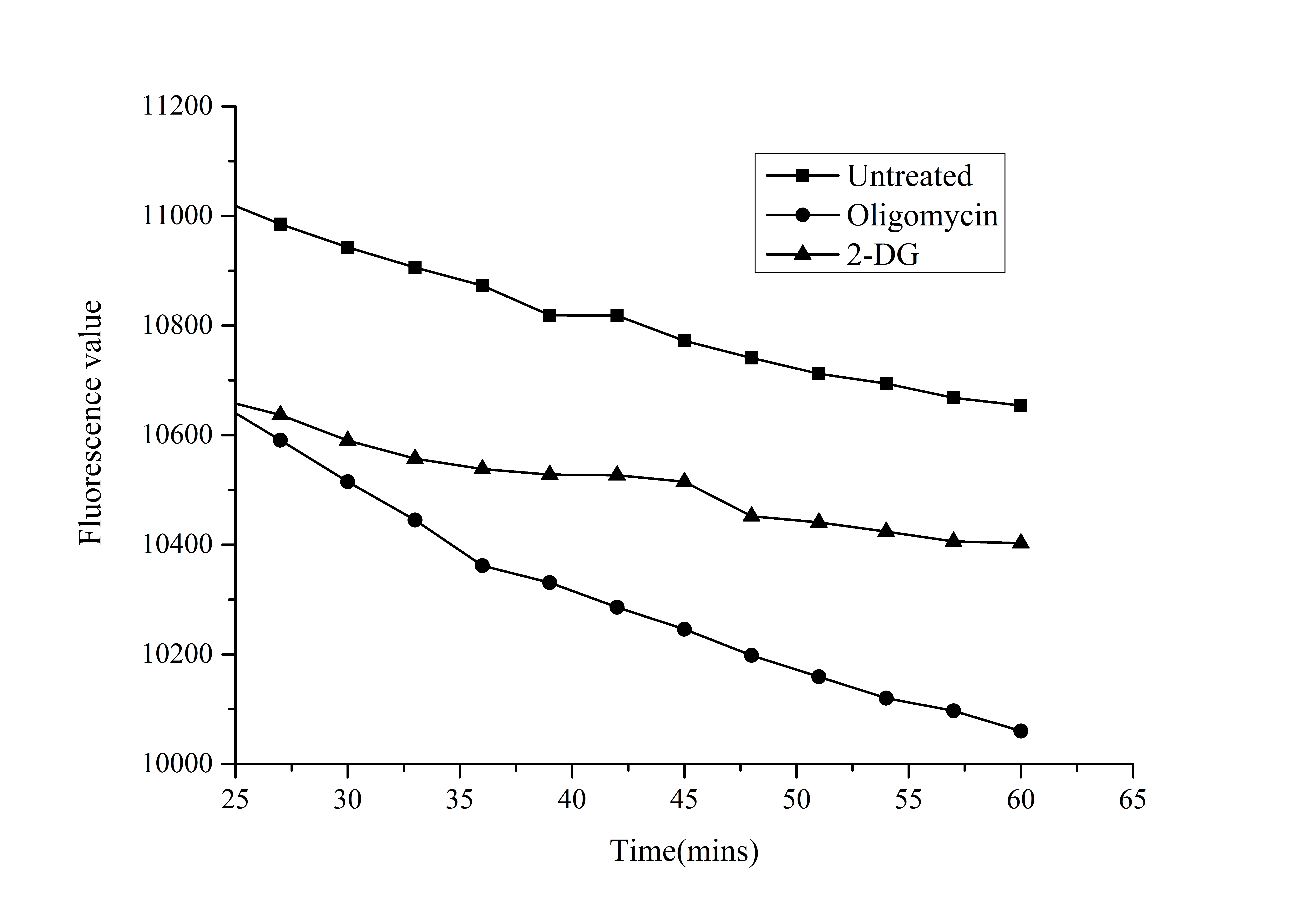 Elabscience 糖酵解压力荧光法测试盒：精准解码细胞能量代谢奥秘