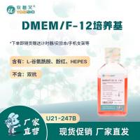 DMEM/F-12培养基