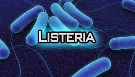 怕热不怕冷的冰箱杀手——李斯特菌Listeria