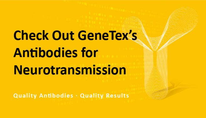 神经传递研究利器：GeneTex重组抗体