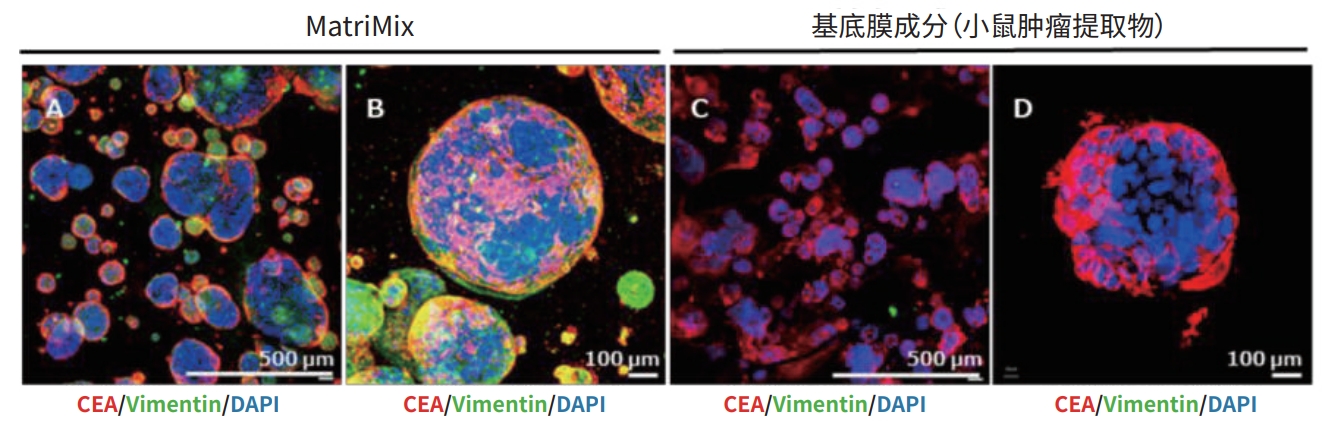 类器官时代即将来临？FDA宣布计划逐步淘汰动物实验并采用类器官等新技术！
