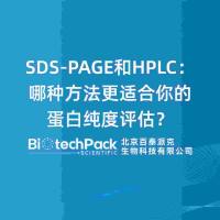 SDS-PAGE和HPLC:哪种方法更适合你的蛋白纯度评估?......
