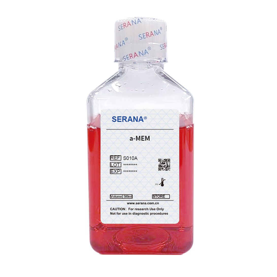 a-MEM 培养基