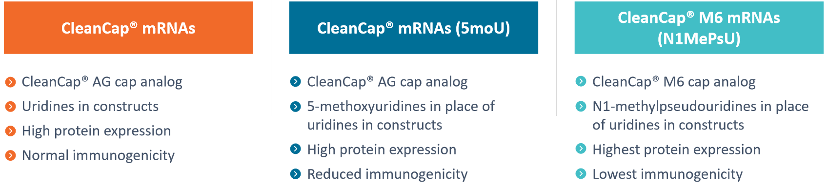M6 mRNAs(3).png
