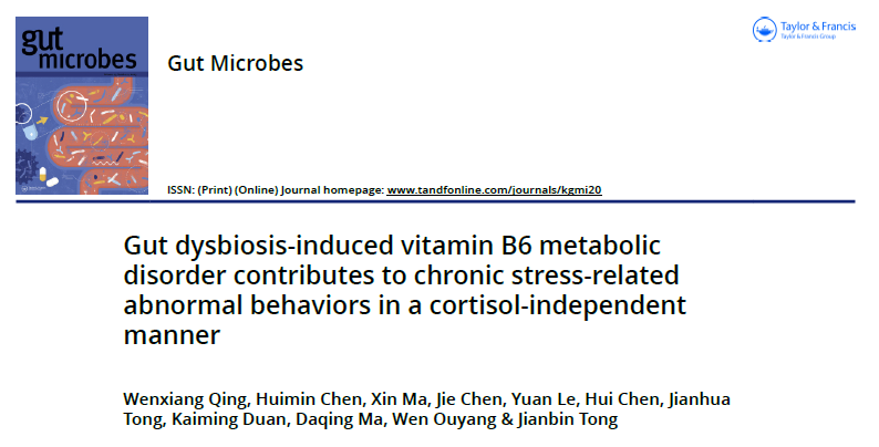 IF=12.2！湘雅三医院童建斌教授团队揭示肠-脑轴新机制：肠道菌群紊乱通过维生素B6代谢驱动慢性应激行为异常