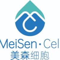 人原代肾近端小管上皮细胞