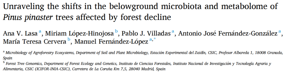 IF=8.2！西班牙高等科研理事会萨伊丁实验站研究团队揭秘森林衰退背后的秘密：海岸松根际微生物与代谢组的“变奏曲”