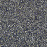 Jurkat-Lucia NFAT hCD16