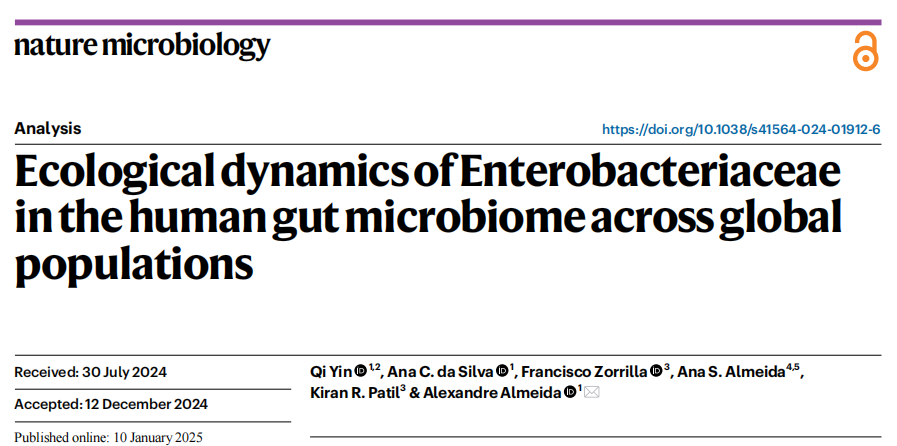 nat microbiol｜全球肠道微生物群揭示肠杆菌科的双面性：是威胁还是共生？