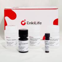 HRP Anti-Mouse/Rabbit IHC Detection System(DAB solution)