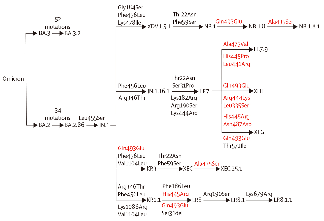 “新冠猎手”曹云龙一周两篇：持续深耕新冠病毒突变株与中和抗体发现