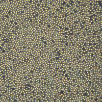 人正常肥大细胞LUVA (Human Mast CellLine)