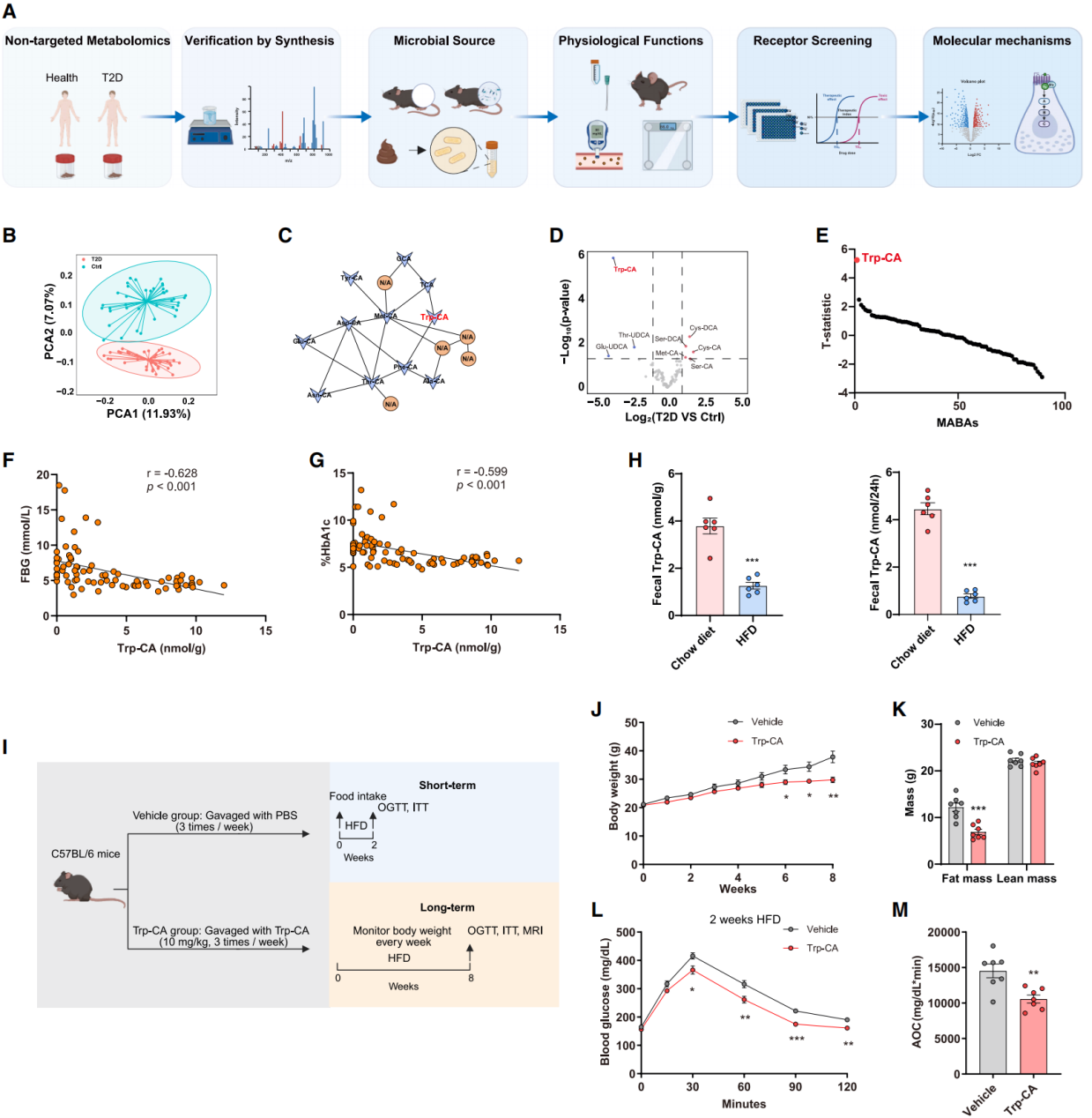 Cell丨汉恒助力北大/山大合作开发2型糖尿病微生物疗法新靶点：新型胆汁酸Trp-CA！