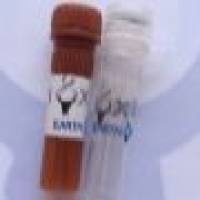 HRP, Rabbit Anti-Chicken IgY(H+L) 辣根酶标记,兔抗鸡二抗