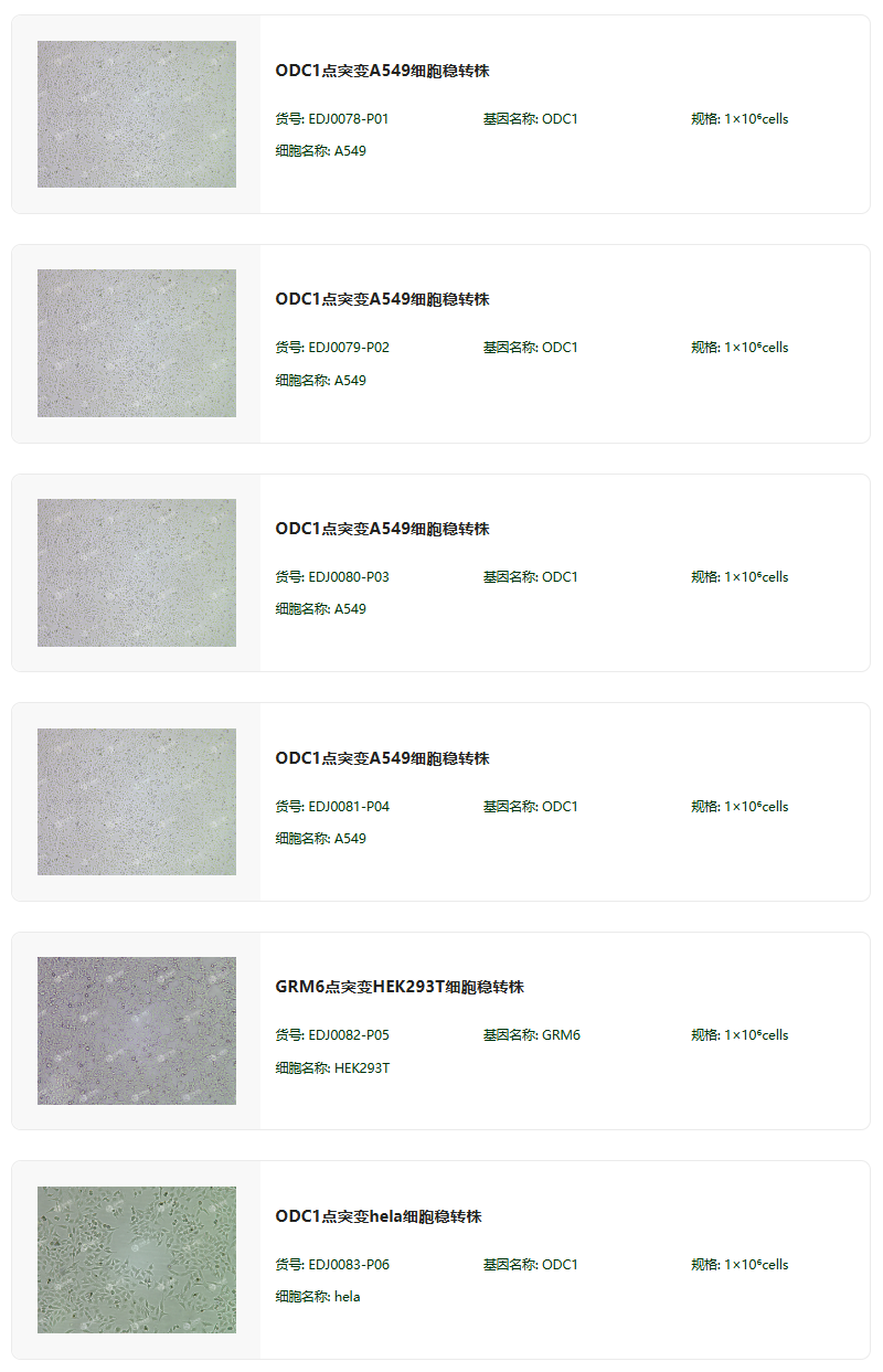 CRISPR/cas9基因敲入/插入细胞服务(荧光蛋白定点敲