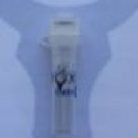 Anti-mCherry Rabbit Polyclonal Antibody mCherry兔源多克隆标签抗体