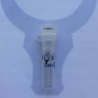 Anti-C-MYC Rabbit Polyclonal Antibody MYC兔源多克隆标签抗体