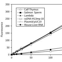 High Sensitivity dsDNA Quantification Kit 双链DNA定量试剂盒