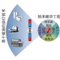 负载阿霉素的四氧化三铁磁性纳米微球被葫芦脲[6]修饰 DOX@Fe3O4-CB[6]