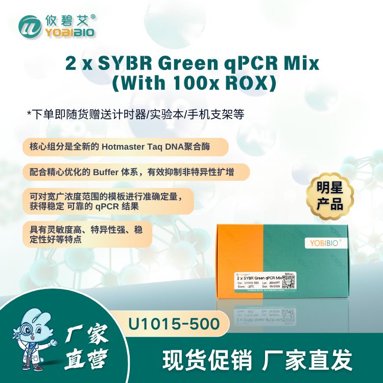 2 x SYBR Green qPCR Mix (With 100x ROX)