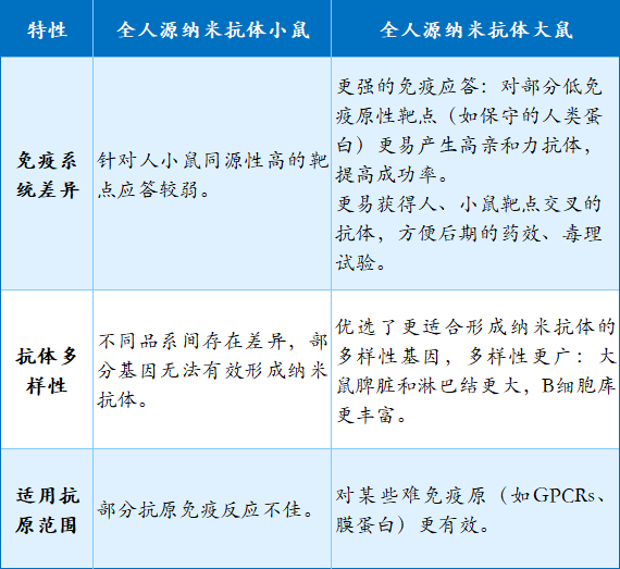 灵赋成功开发我国第一个全人源纳米抗体大鼠，跨越物种壁垒