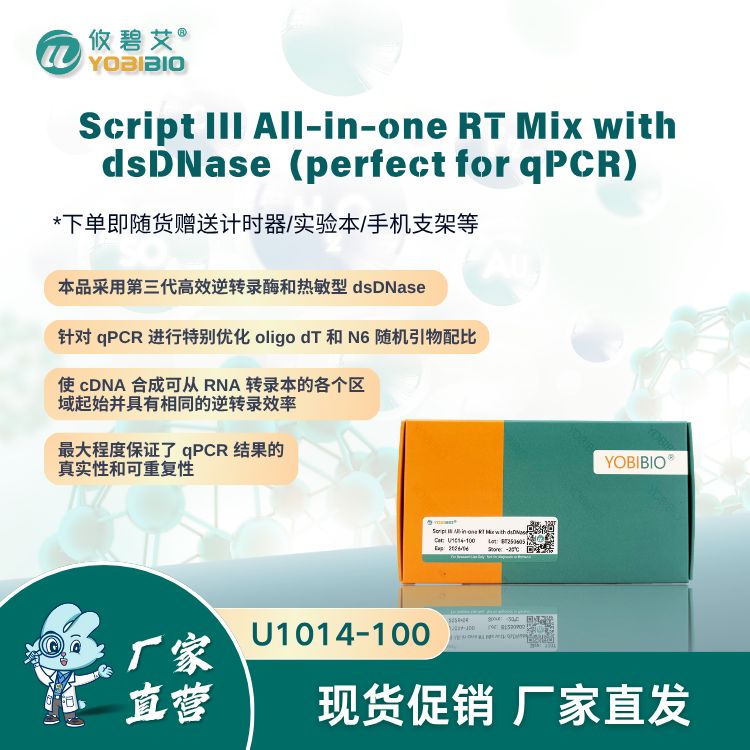 Script III All-in-one RT Mix with dsDNase