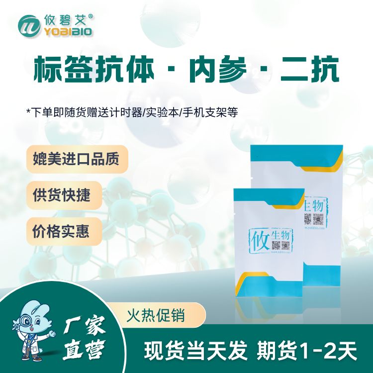 Anti-GFP Magnetic Beads（亲和磁珠）