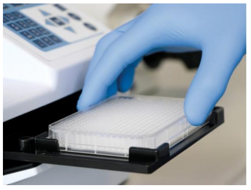 德国ibidi 384孔板/细胞培养板、高内涵筛选微孔板-8